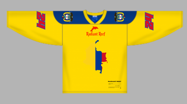 (Back Order) Custom Hockey Jersey Coverups